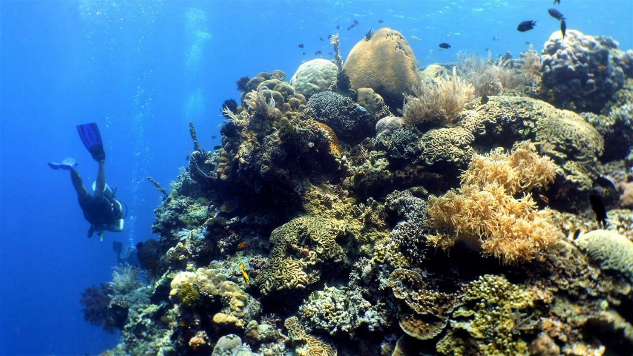 Bunaken Sea Garden Resort Exterior photo